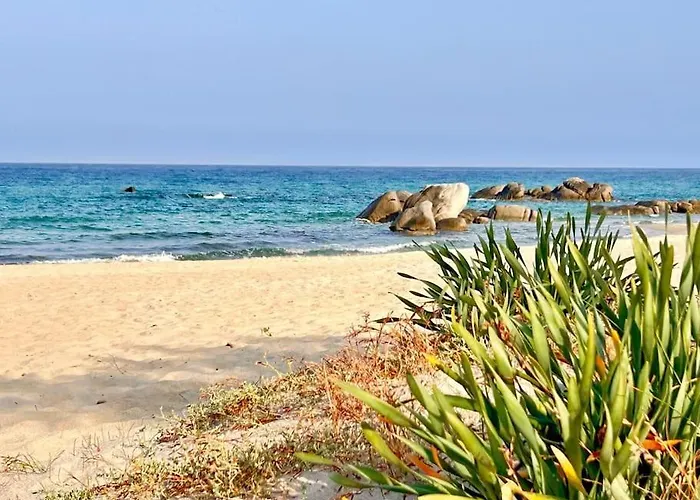 Daire Residenza Saverosa